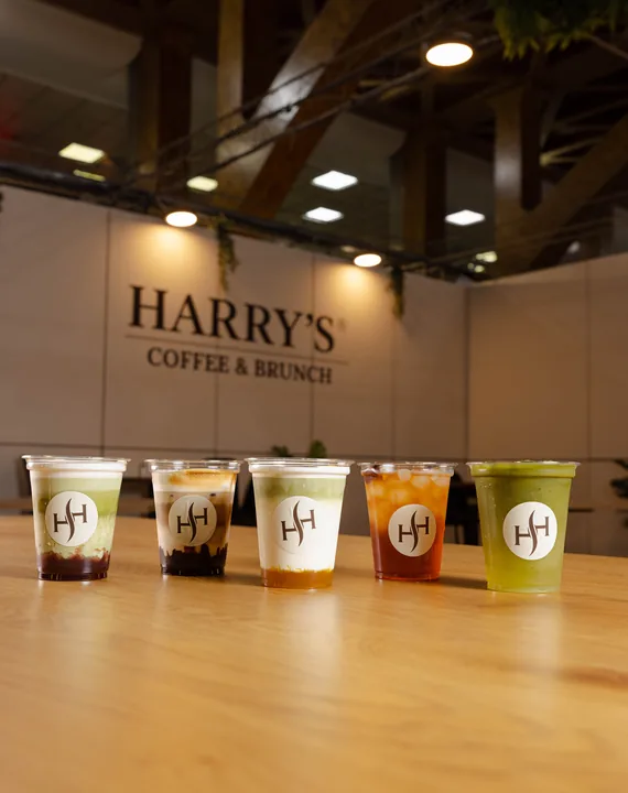 Proyecto Harry's
